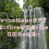 マツコの知らない世界で紹介の日田市桜滝は車いすでも行ける秘境だった！